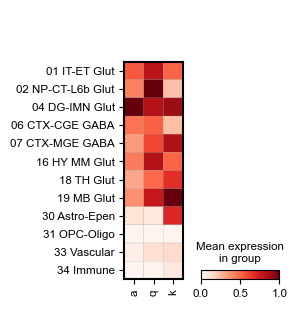../_images/tutorial_nbs_Ex2_mouse_brain_interpretation_15_3.png