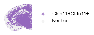 ../_images/tutorial_nbs_Ex2_mouse_brain_interpretation_23_7.png