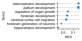 ../_images/tutorial_nbs_Ex2_mouse_brain_spatial_perturbation_48_1.png