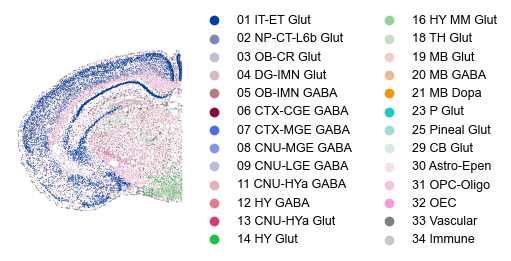 ../_images/tutorial_nbs_Ex2_mouse_brain_interpretation_13_2.png